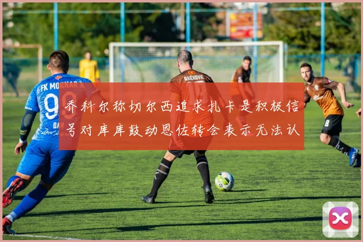 乔科尔称切尔西追求扎卡是积极信号对库库鼓动恩佐转会表示无法认同